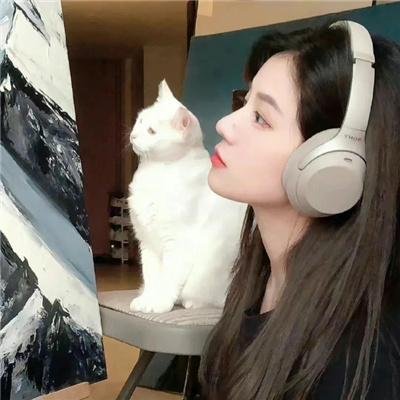 闯入者 海报